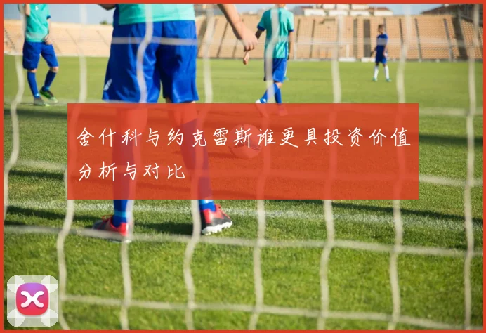 舍什科与约克雷斯谁更具投资价值分析与对比